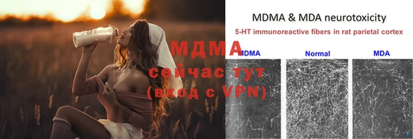ПСИЛОЦИБИНОВЫЕ ГРИБЫ Балахна