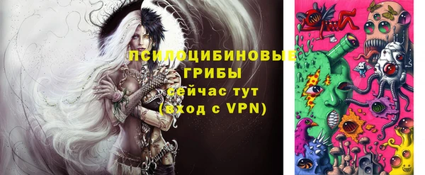 ПСИЛОЦИБИНОВЫЕ ГРИБЫ Балахна